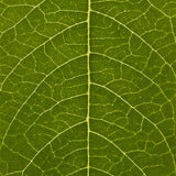 Hemp Hand Protector