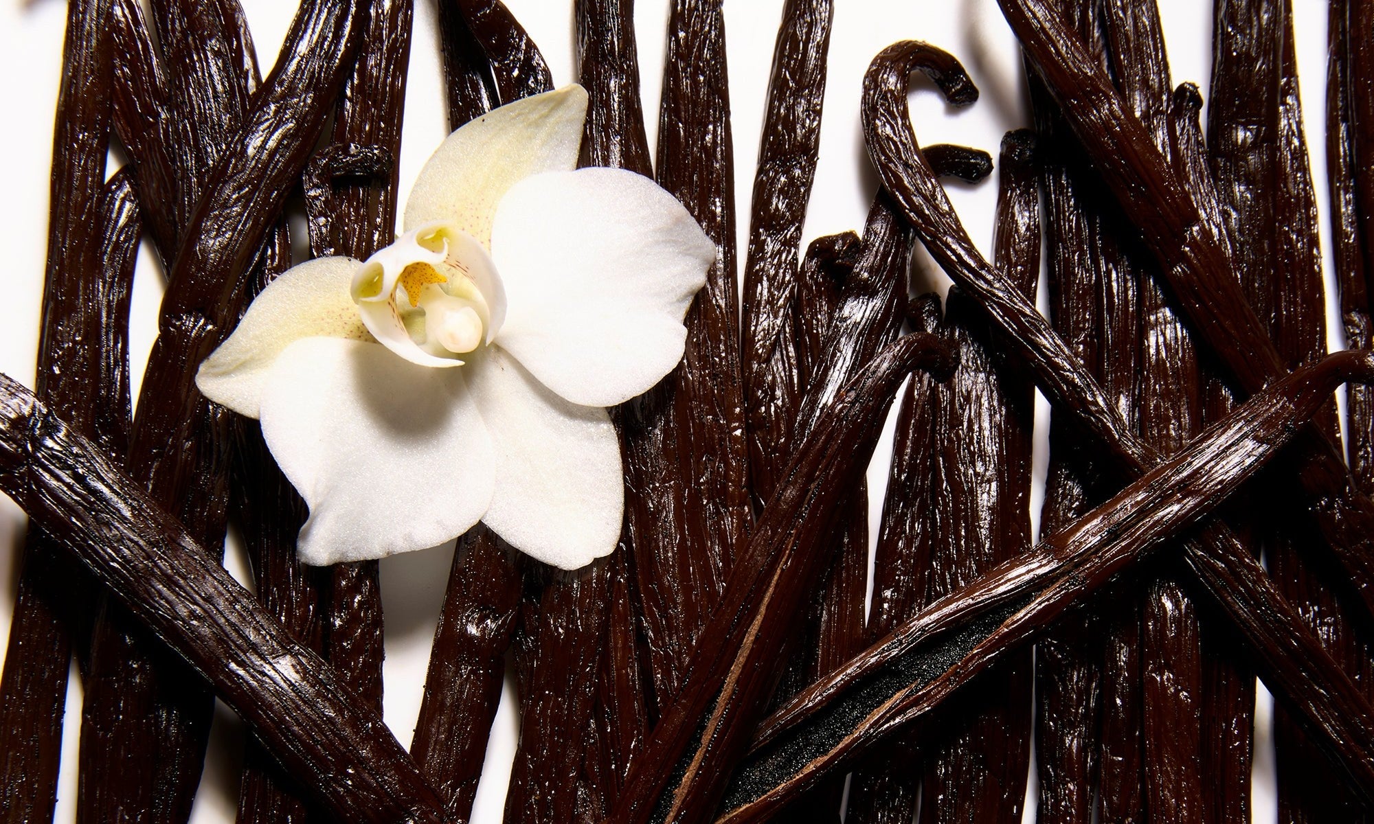 Vanilla